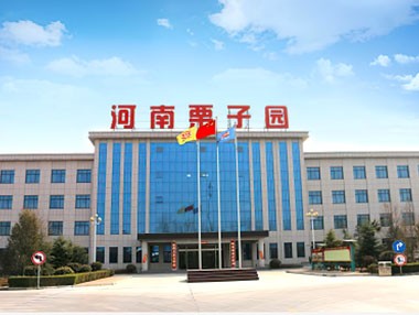 河南栗子園食品飲料有限公司廣宣品招標(biāo)中標(biāo)公示